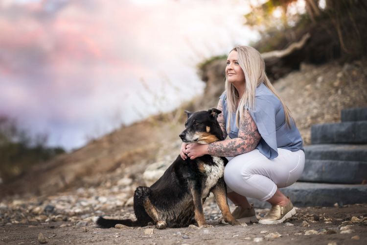 wp-content/uploads/sunset-dreamy-dog.jpg