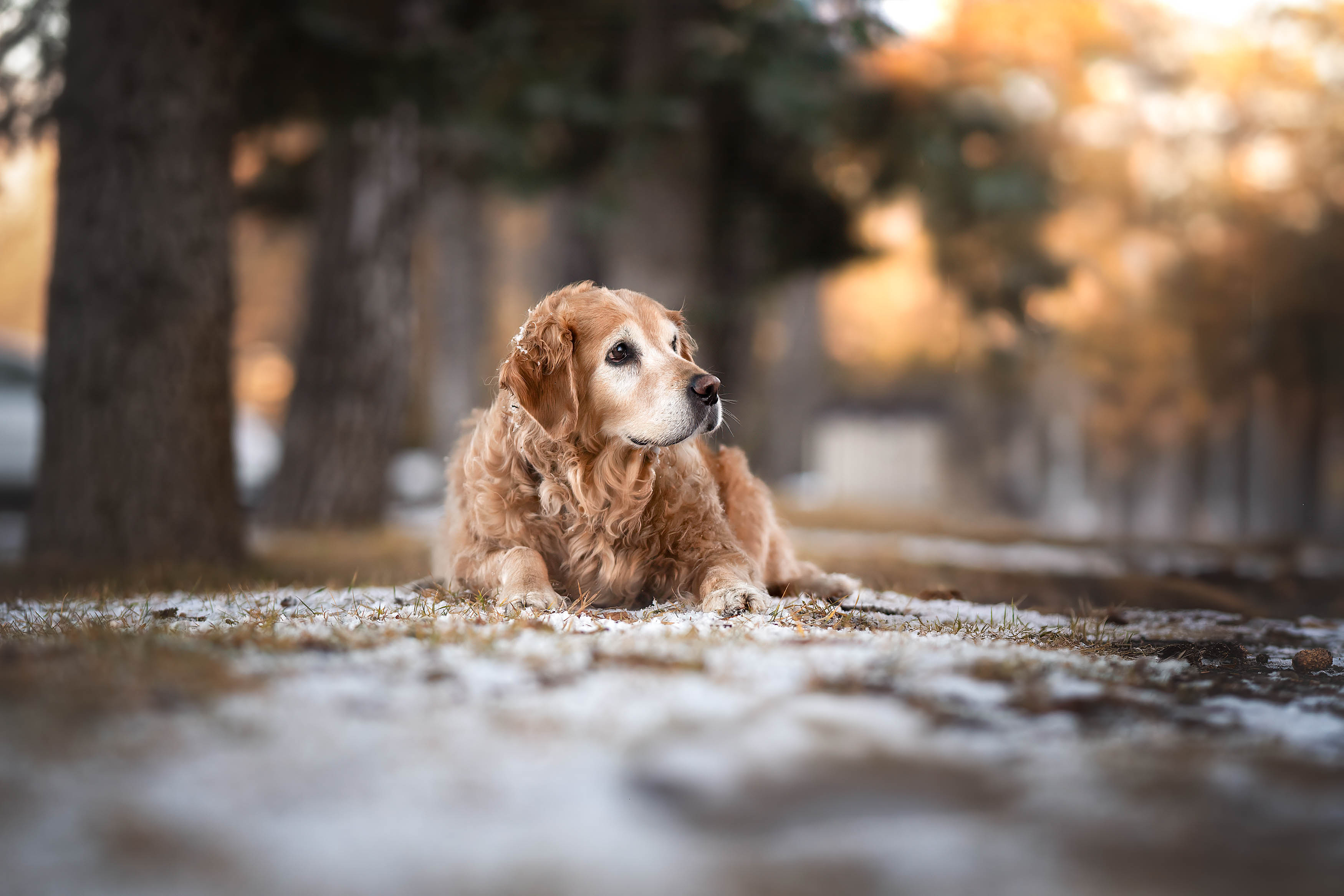 Protected: Molly Gallery