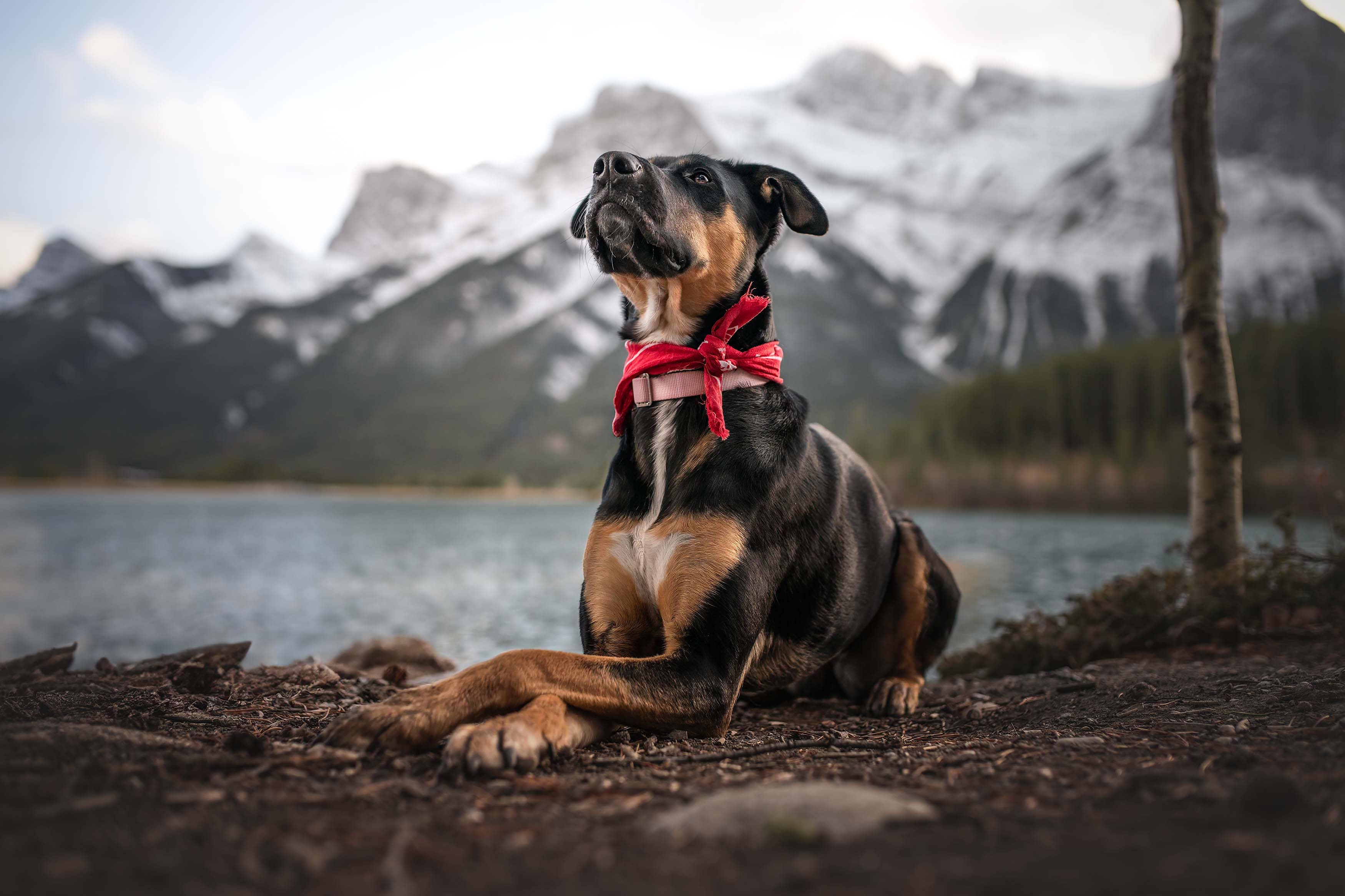 Protected: Kinako Gallery