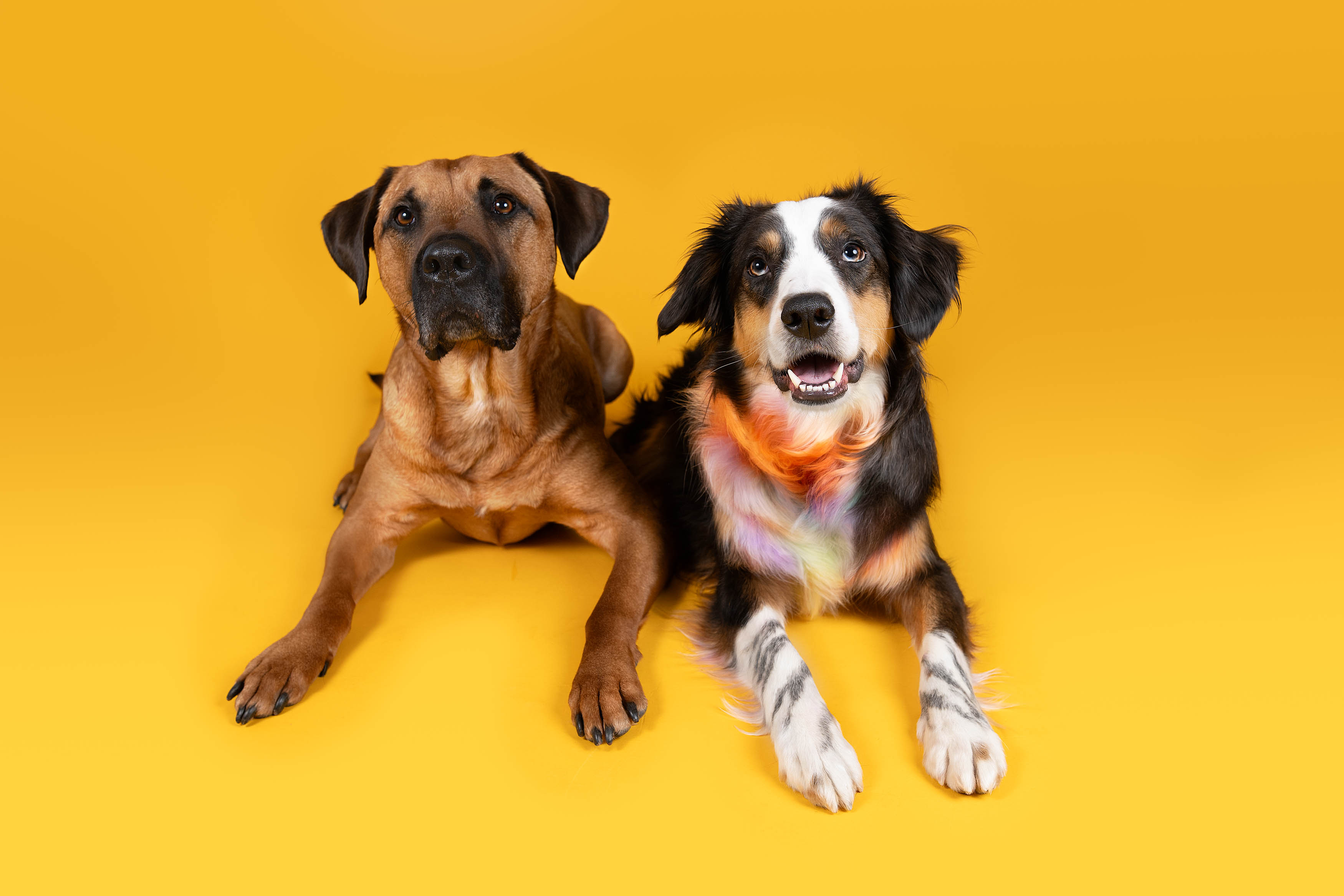 Protected: Tarot and Bruce Gallery